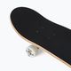 Klasický skateboard Playlife Mighty Bear 880309 6