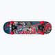 Dětský klasický skateboard Playlife Hotrod color 880325