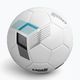 Capelli Tribeca Metro Competition Hybrid Football AGE-5882 velikost 5 4