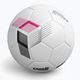Capelli Tribeca Metro Competition Hybrid Football AGE-5881 velikost 5 4