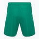 Dětské fotbalové šortky Capelli Sport Cs One Adult Match green/white 2