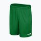 Dětské fotbalové šortky Capelli Sport Cs One Adult Match green/white 4