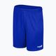 Capelli Sport Cs One Adult Match fotbalové šortky královská modrá/bílá 4