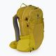 Turistický batoh Deuter Futura 23 l žlutý 3400121 2