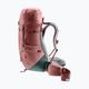 Dámský trekingový batoh deuter Aircontact Lite 35 + 10 SL brown 334002352150 3