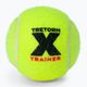 Tenisové míče Tretorn X-Trainer 72ks žluté 3T44 474235 2