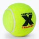 Tenisové míče Tretorn X-Trainer 72ks žluté 3T44 474235 3