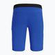 Pánské turistické šortky Salewa Agner Light modré 00-0000027380 5