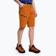 Salewa pánské trekingové šortky Puez 3 orange 00-0000027401