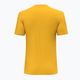 Pánské trekové tričko Salewa Solidlogo Dry yellow 00-0000027018 2