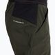 Pánské trekové kalhoty Salewa Pedroc 2 DST Light green 00-0000028597 4