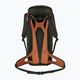 Salewa Alp Mate 26 l green 00-0000001272 trekingový batoh 6