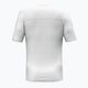 Pánské tričko  Salewa Puez Sporty Dry white 2
