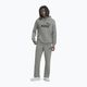 Pánská mikina PUMA Essentials Big Logo Hoodie TR medium gray heather 2