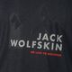 Pánské tričko Jack Wolfskin Hiking Graphic grey 1808761_6230 6
