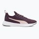 Běžecké boty PUMA Flyer Runner midnight plum/mauve mist 2