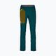 Pánské softshellové kalhoty Ortovox Berrino green 6037400020 5