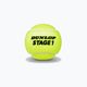 Dětské tenisové míče Dunlop Stage 1 60 ks zelená 601342 2