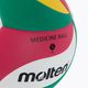 Molten volejbalový míč barevný V5M9000-M 3