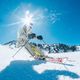 Pánská lyžařská bunda Descente Shaun šgrey/green 6