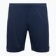Pánské tréninkové šortky Mizuno Premium Handball navy blue X2FB9A0214