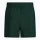 Pánské plavecké šortky Nike Essential 5" Volley zelené NESSA560-303 2