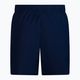 Pánské plavecké šortky Nike Essential 5" Volley navy blue NESSA560-440
