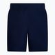 Pánské plavecké šortky Nike Essential 5" Volley navy blue NESSA560-440 2