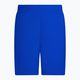 Pánské plavecké šortky Nike Essential 5" Volley modré NESSA560-494 2