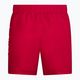 Pánské plavecké šortky Nike Essential 5" Volley červené NESSA560-614 2