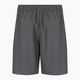 Pánské plavecké šortky Nike Essential 7" Volley tmavě šedé NESSA559-018 2