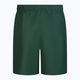Pánské plavecké šortky Nike Essential 7' zelené NESSA559 2