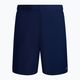 Pánské plavecké šortky Nike Essential 7" Volley navy blue NESSA559-440