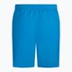 Pánské plavecké šortky Nike Essential 5" Volley modré NESSA560-406 2