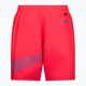 Pánské plavecké šortky Nike Matrix Logo 7' Red NESSA521 2