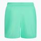 Pánské plavecké šortky Nike Essential 5" Volley zelené NESSA560-315 2