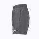 Dětské plavecké šortky Nike Essential 4" Volley šedé NESSB866-018 5