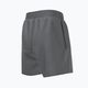 Dětské plavecké šortky Nike Essential 4" Volley šedé NESSB866-018 6
