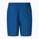 Pánské plavecké šortky Nike Essential 7" Volley navy blue NESSA559-444 2