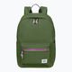 Batoh American Tourister Backpack Zip 19,5 l olive green