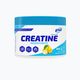 Creatine Monohydrate 6PAK Kreatin 300g citron PAK/243