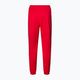 Pánské kalhoty Pitbull West Coast Oldschool Track Pants Tape Logo red 2