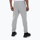Pánské kalhoty Pitbull West Coast Track Pants Athletic grey/melange 3