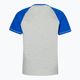 Pánské tričko Pitbull West Coast T-Shirt Boxing 210 royal blue 2