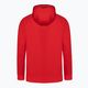 Pánská mikina Pitbull West Coast Skylark Hooded Sweatshirt red 10