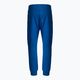 Pánské kalhoty Pitbull West Coast Pants Alcorn royal blue 2