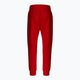 Pánské kalhoty Pitbull West Coast Pants Alcorn red 8