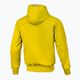 Pánská nylonová bunda Pitbull West Coast Athletic s kapucí žlutá 2