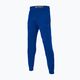 Pánské kalhoty Pitbull West Coast Durango Jogging 210 royal blue