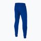 Pánské kalhoty Pitbull West Coast Durango Jogging 210 royal blue 2